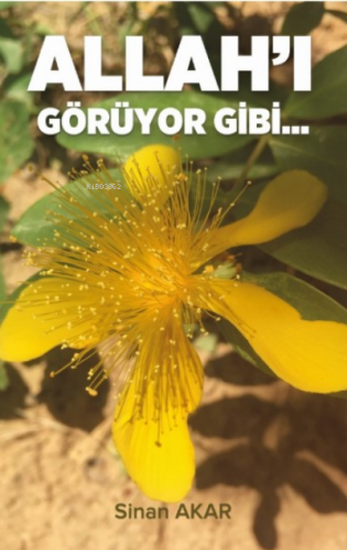 Allah'ı Görüyor Gibi - Beka Yayınları - Selamkitap.com'da