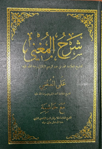 Şerhul Muğni Arapça (2 Renk) - Ravza Yayınları - Selamkitap.com'da